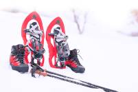 ACTIVIDADES EN LA NIEVE